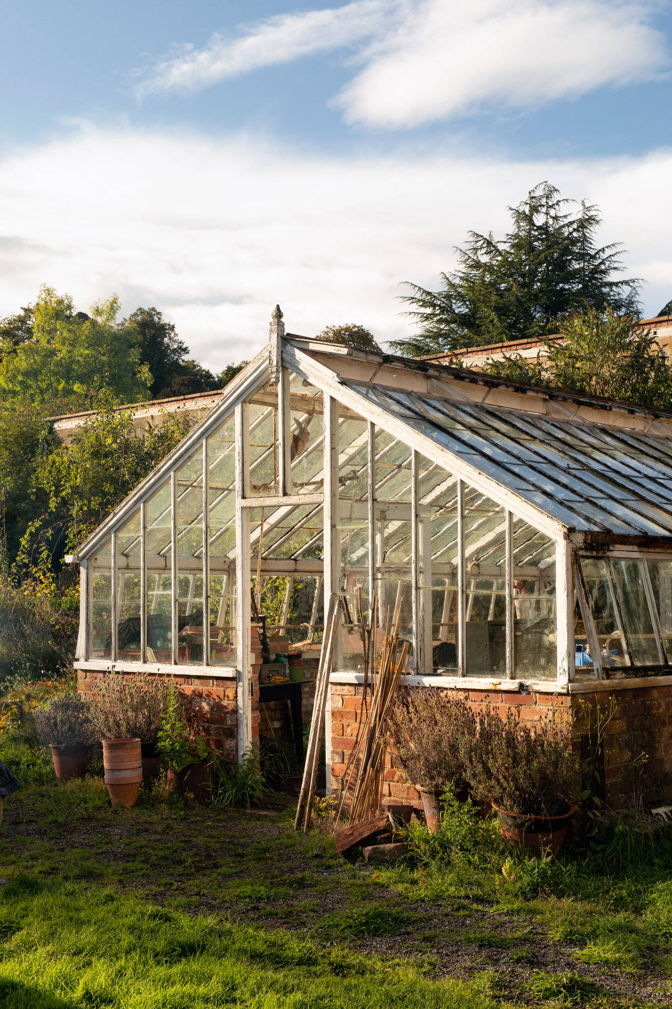 Xanthe Gladstone's greenhouse